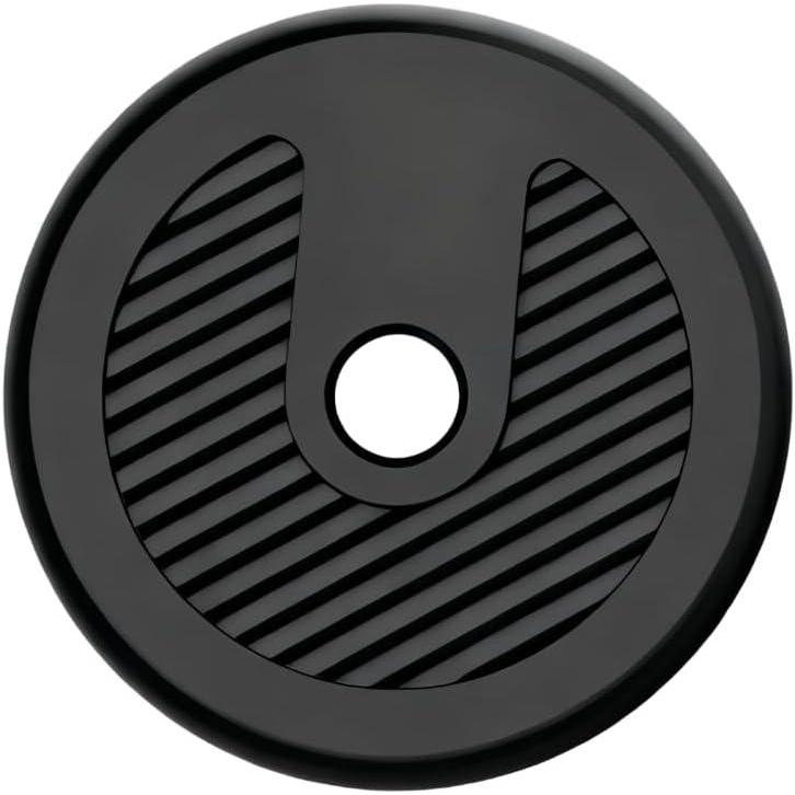 6.5LB Dumbbell Plate, 1 pcs